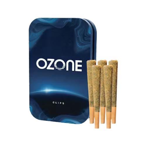 Sour Orange | Minis | 0.5g each | 5pk