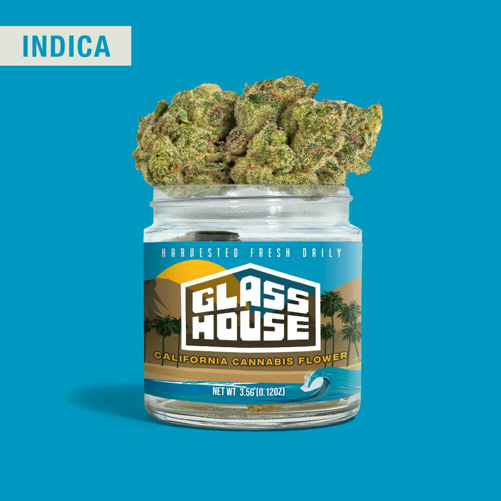 Glass House Farms: GSC X Sherbet