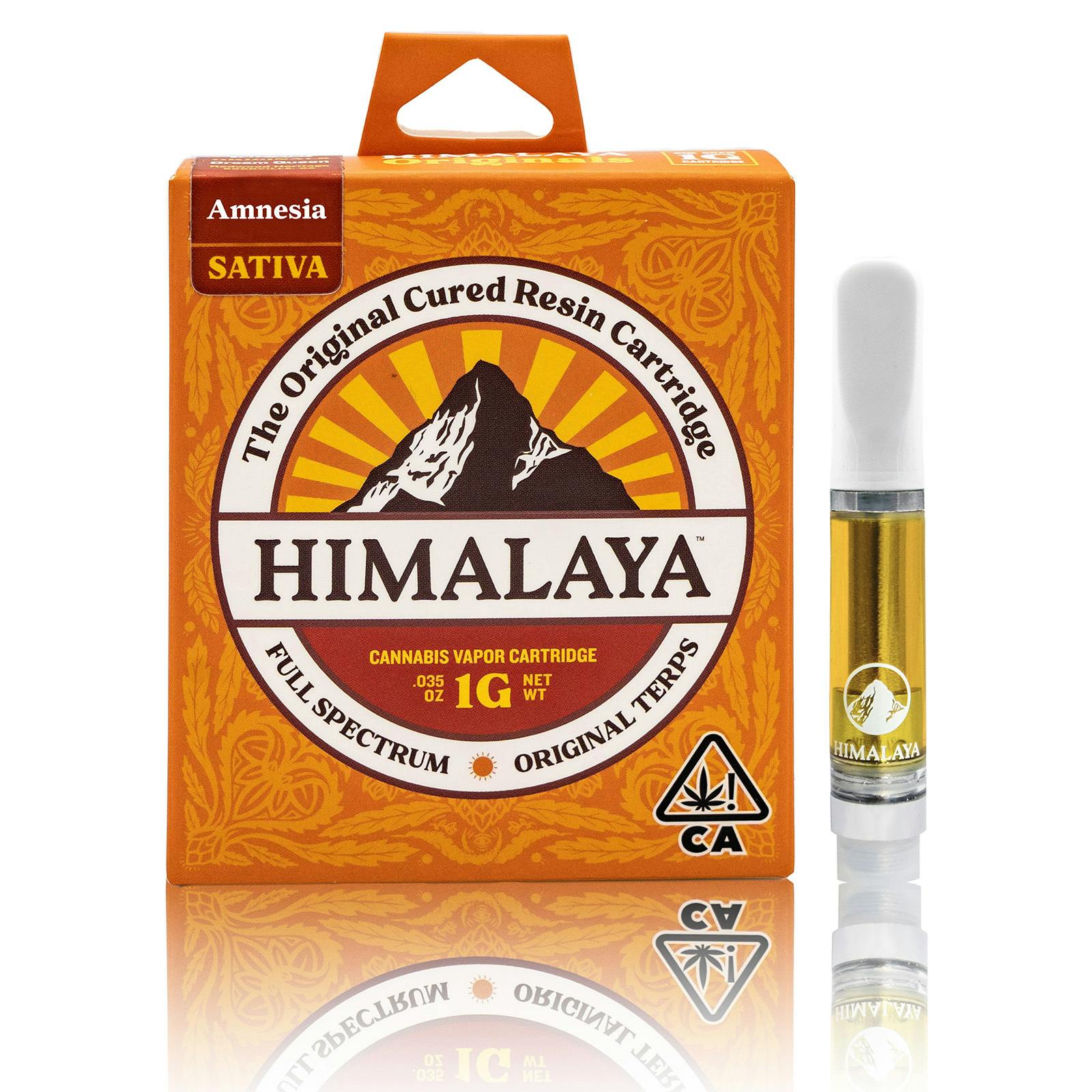 Himalaya: Amnesia