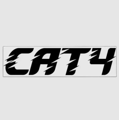 Cat4 - Cone (Natural Color) - One Size - 6 Pack