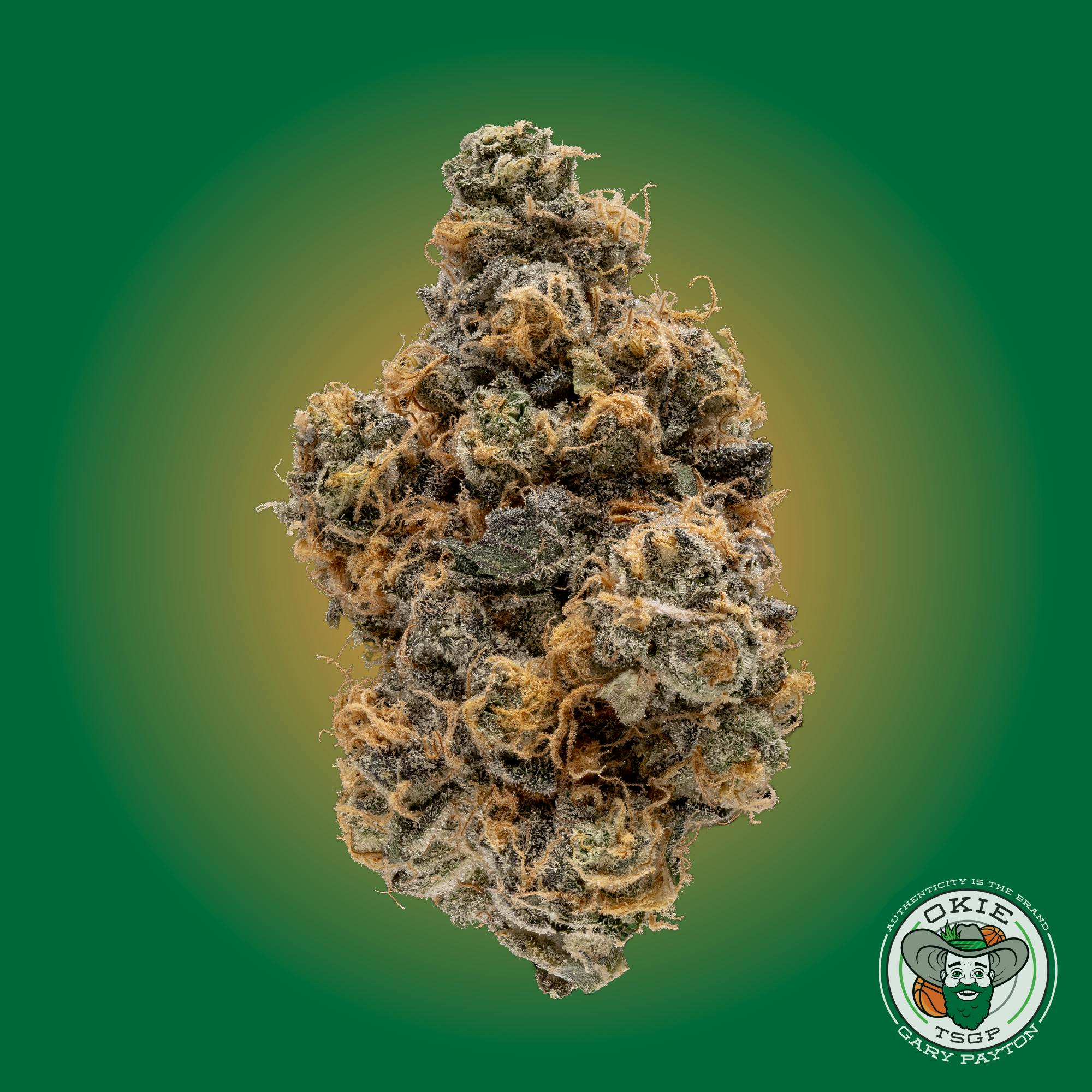 Gary Payton - 3.5g Prepack Flower