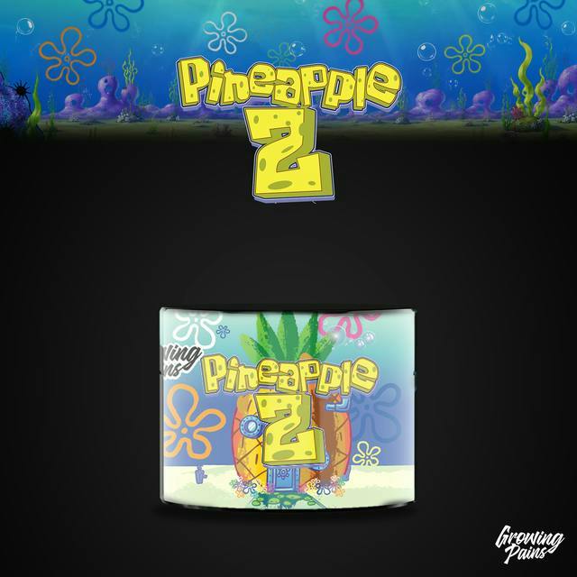 Pineapple Z | Rosin | 1g