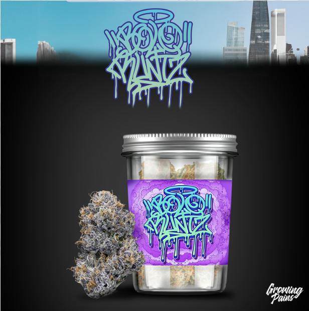 Bolo Runtz | Buds | 14g