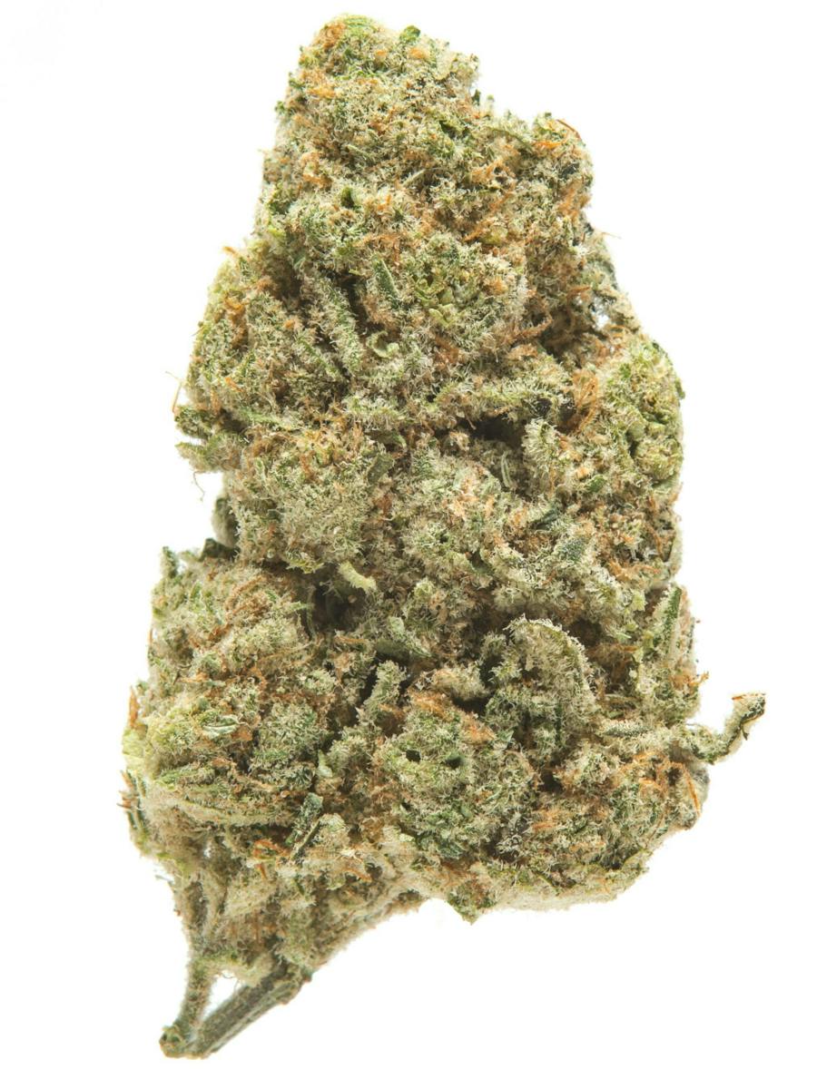 Slymer | Buds