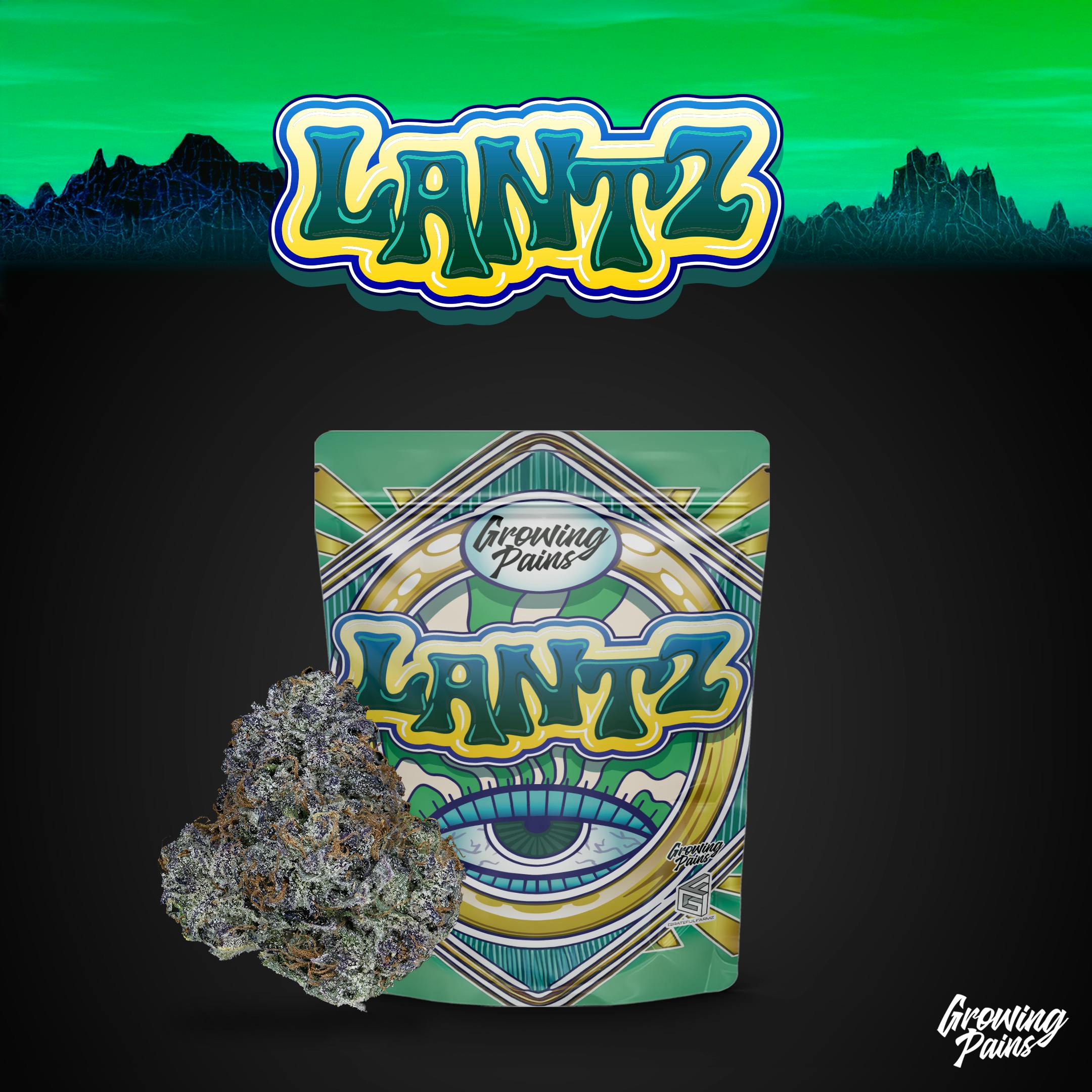 Lantz | Buds