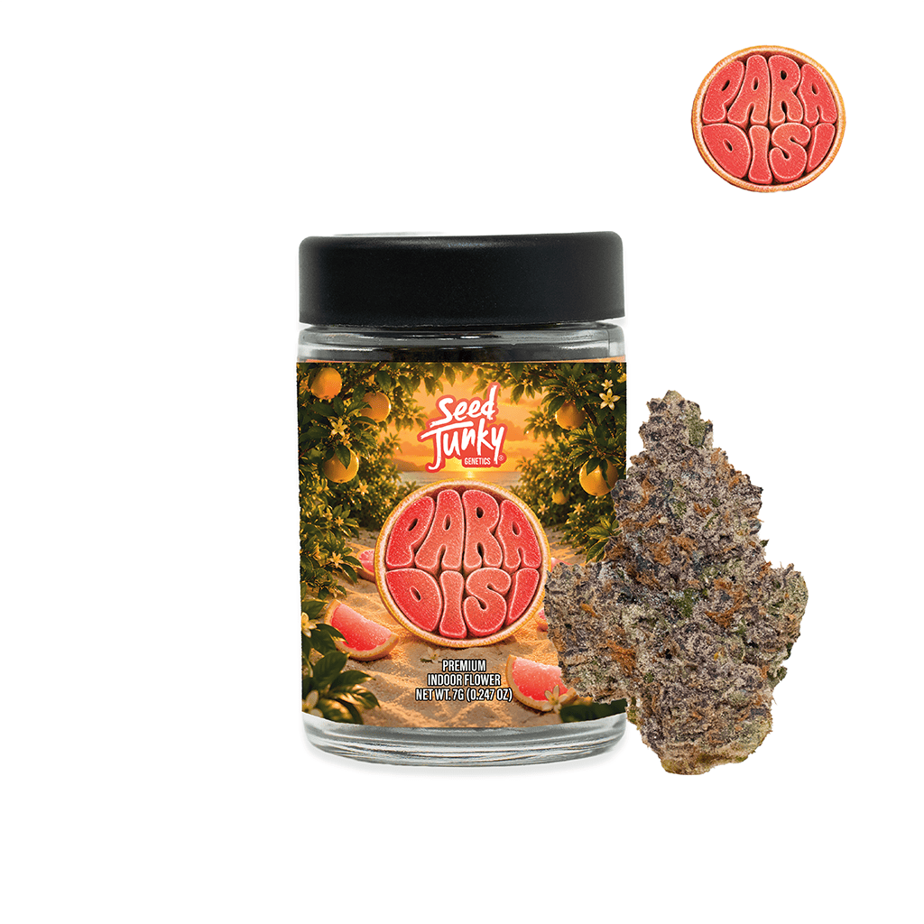 Seed Junky | Paradisi | Buds | 7g