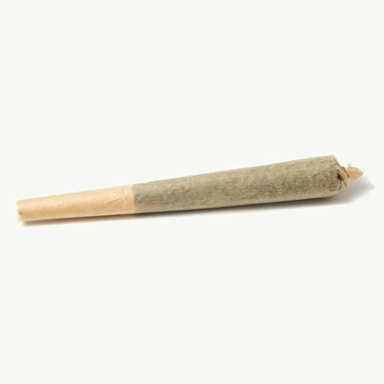Apes In Space | Joint | 1g