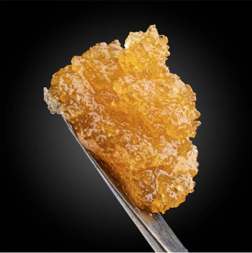 Humboldt Headband | Live Resin Sugar | 1g