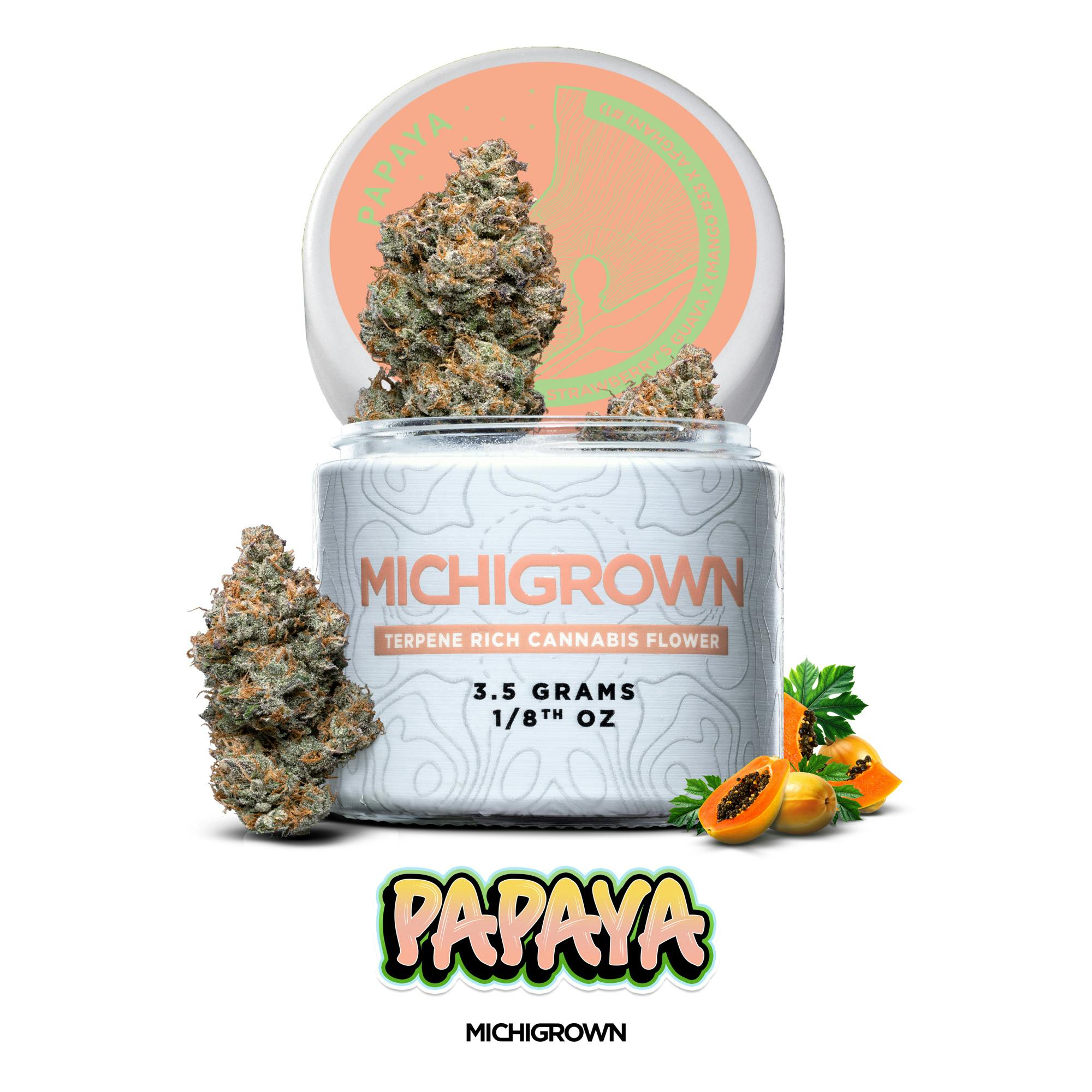 PAPAYA - 3.5 GRAMS - PREMIUM FLOWER - JARS by MICHIGROWN