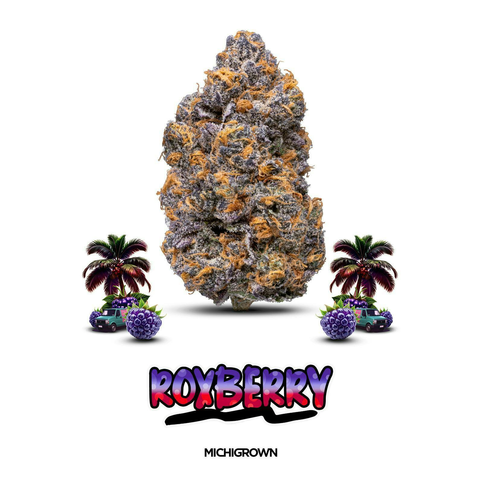 Roxbury | Buds | 14g by MICHIGROWN