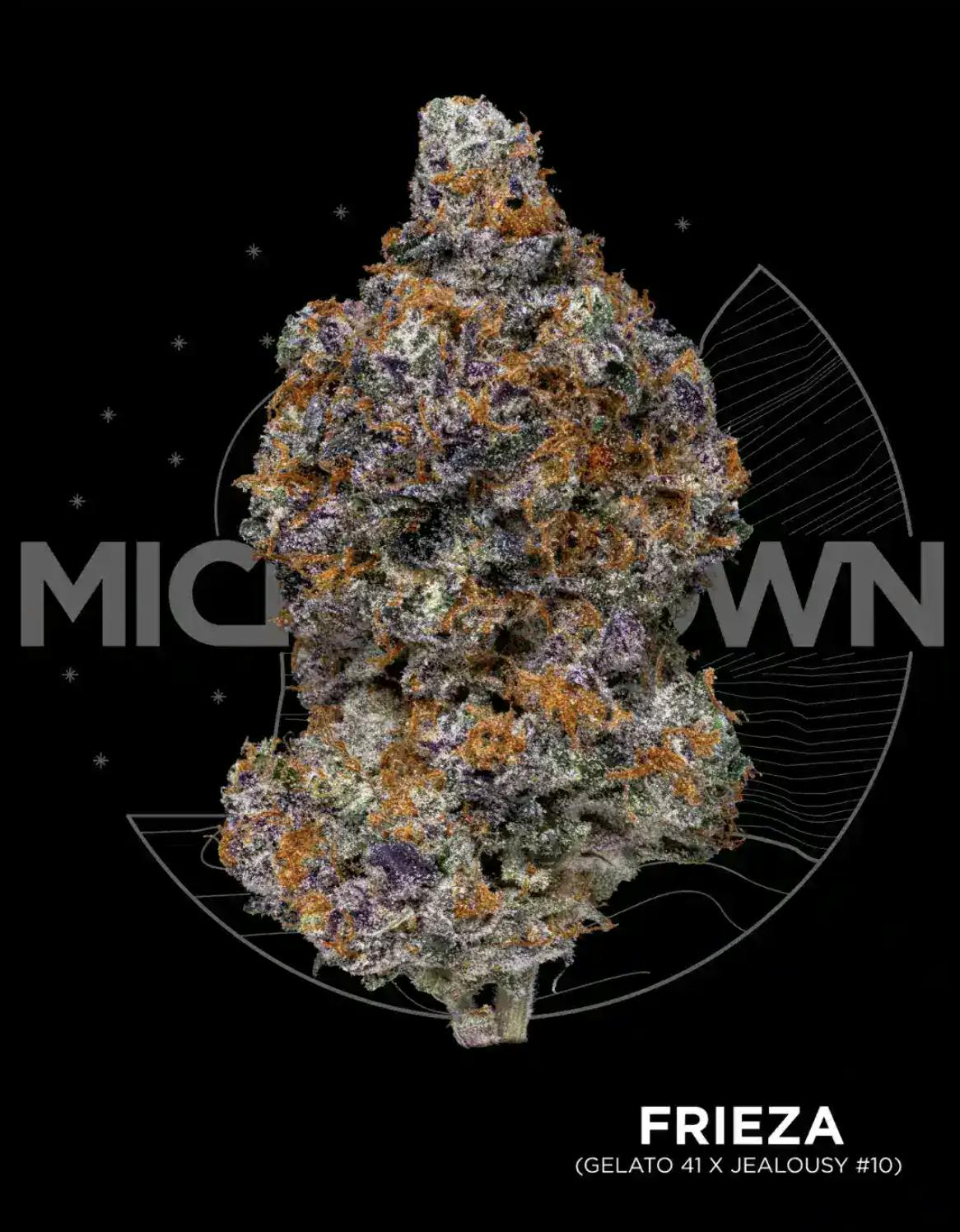 Frieza | Buds | 1g by MICHIGROWN