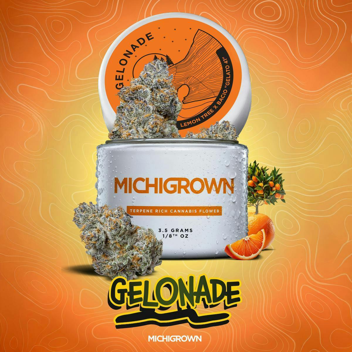 Gelonade | Buds | 28g by MICHIGROWN