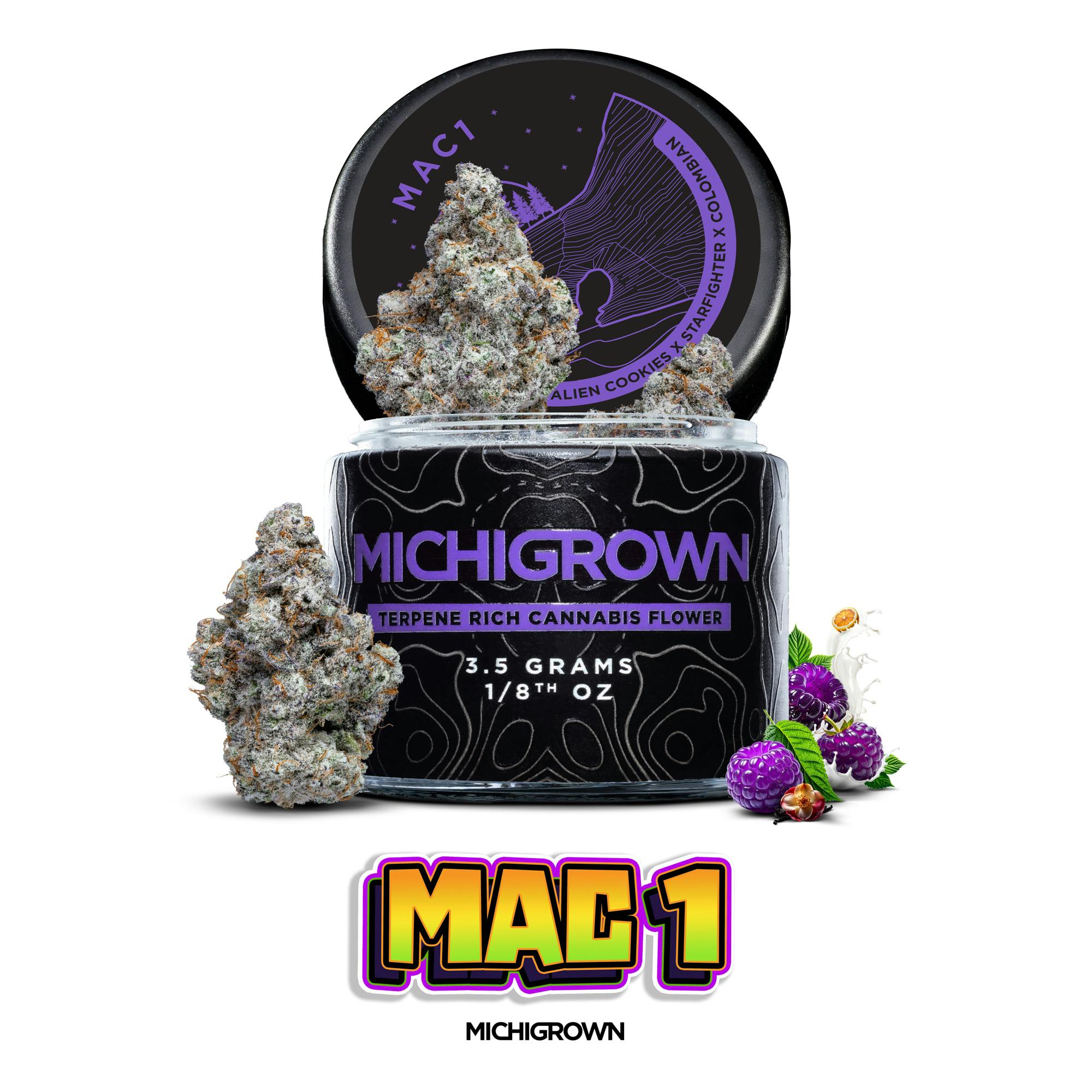 MAC1 - 3.5 GRAMS - PREMIUM FLOWER - JARS by MICHIGROWN