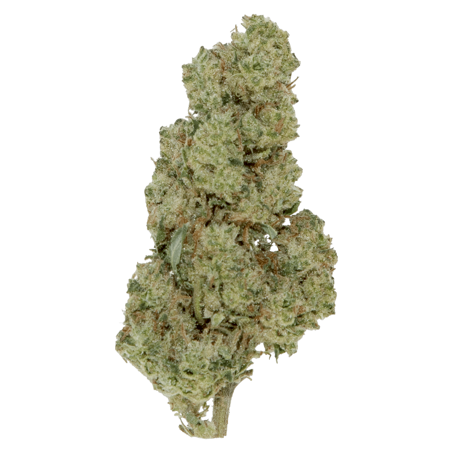 Black | Godfather OG | Buds | 3.5g