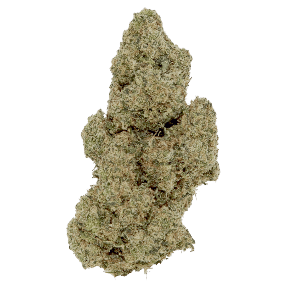Black | Gush Mintz | Buds | 14g