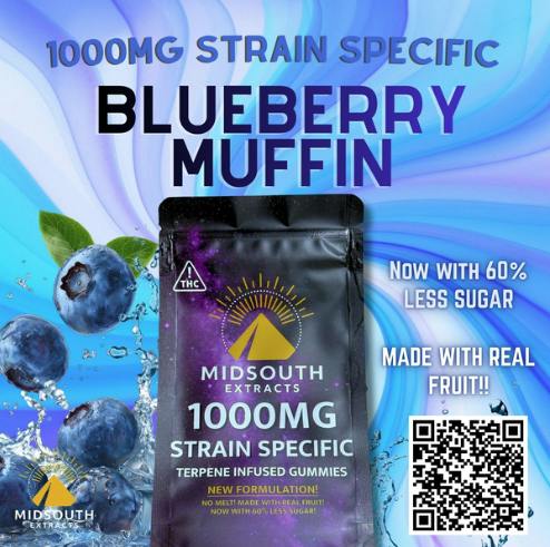 Blueberry Muffin Gummies | 1000mg