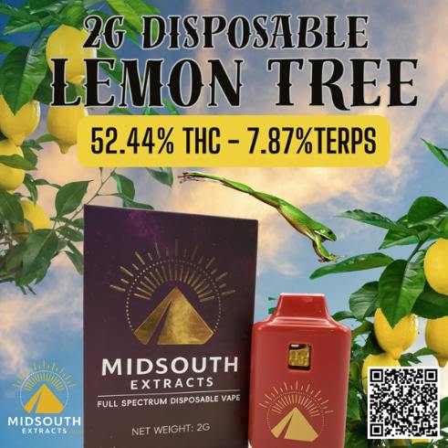 Lemon Tree | Disposable | 2g