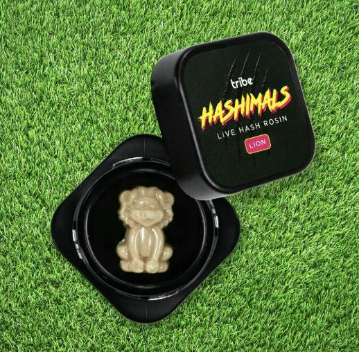 Ice Cream Cake | Live Rosin Lion Hashimals | 1.5g