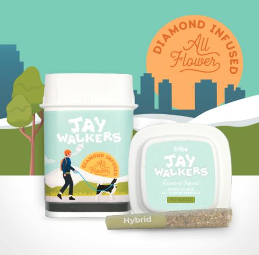 Mimosa | Diamond Infused Jaywalker Minis | .4g each | 11pk