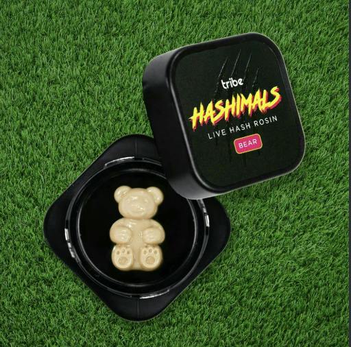 Super Boof | Live Rosin Bear Hashimals | 1.5g