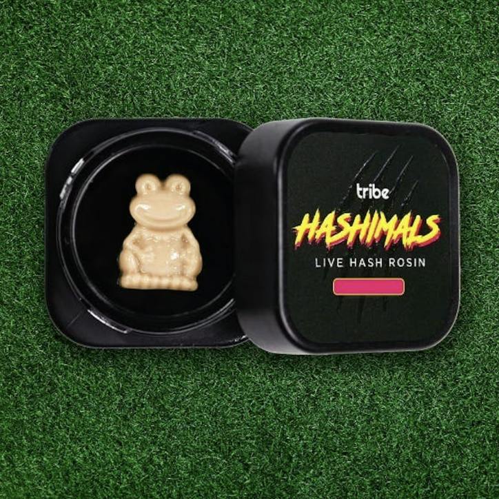 Ice Cream Cake | Live Rosin Frog Hashimals | 1g