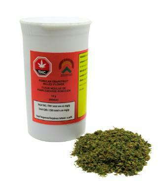 Romulan Grapefruit | Ground | 14g