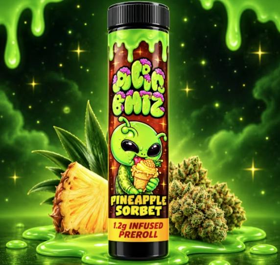 Pineapple Sorbet | Infused Joint | 1.2g