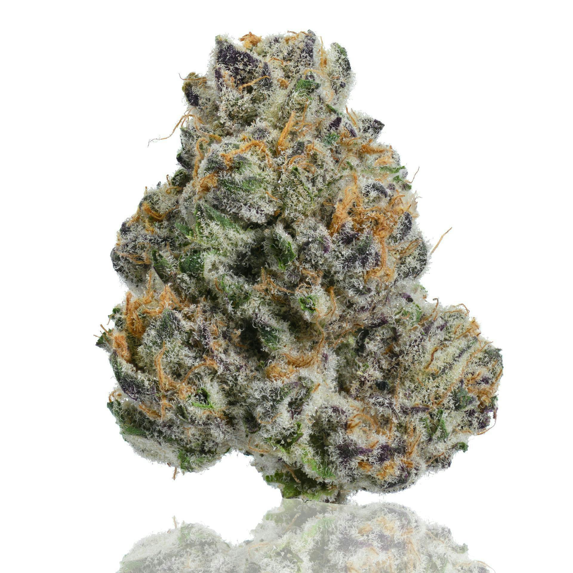 CAM | Red Line | Big Buds | 14g