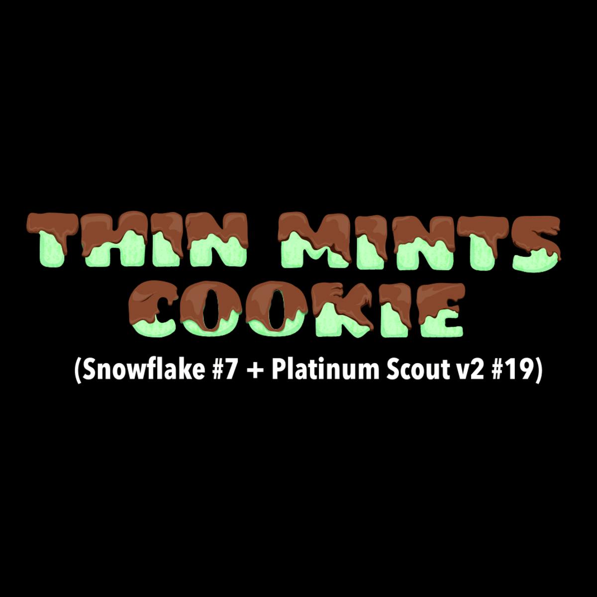 Burly Botanicals | Thin Mints Cookie | .5g Disposable Hash Vape