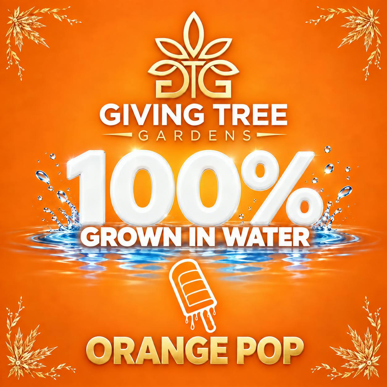 Orange Pop– Deli Flower | 100% WATER GROWN • TRUE HYDRO by Giving Tree Gardens