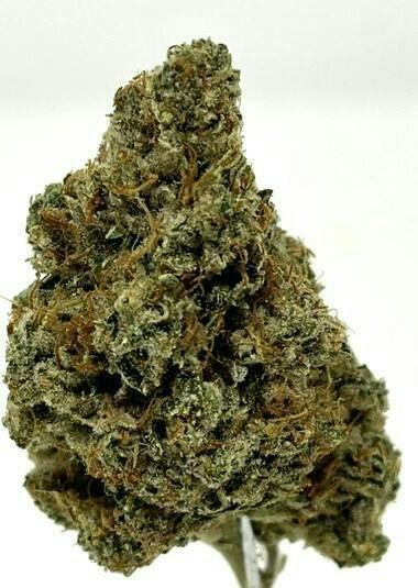 Headband 14g Indoor Flower
