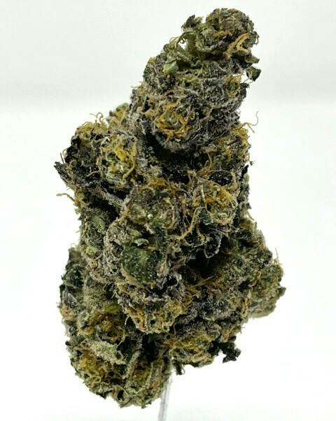 Blue Taffeze 3.5g Indoor Flower