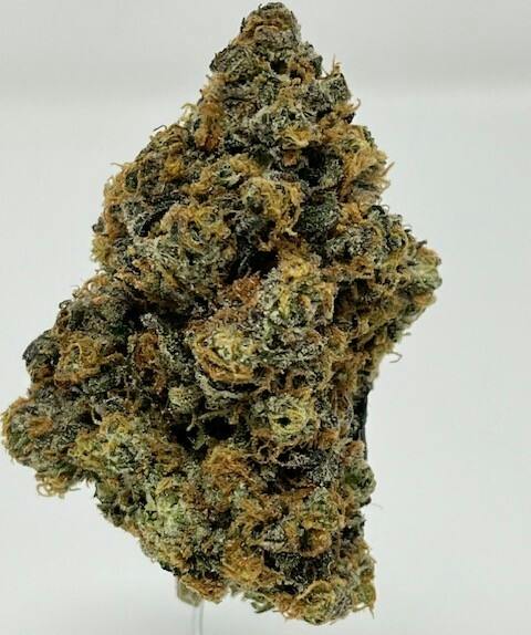 Moroccan Peaches 3.5g Indoor Flower