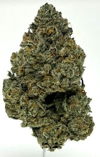 Red Velvet Gary 3.5g Indoor Flower