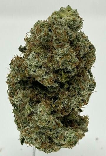 Sour Peelz 3.5g Indoor Flower