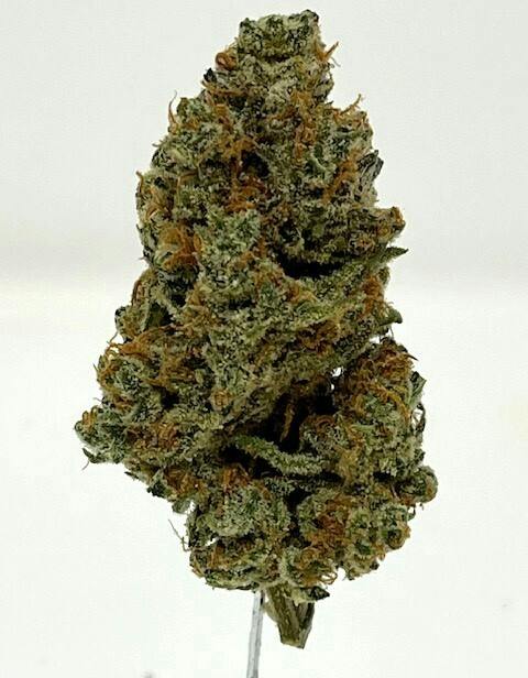 Tangie Bomb 3.5g Indoor Flower