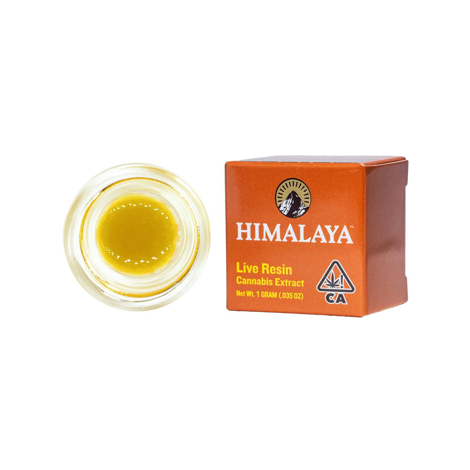 Glazed Grapefruit - Terp Sauce Concentrate - 1G