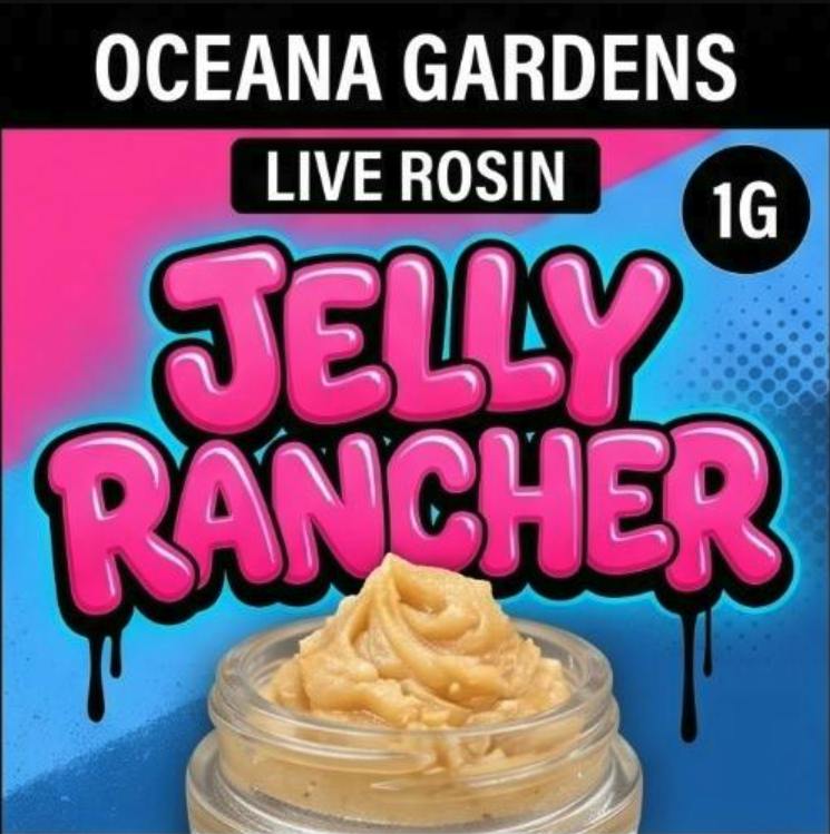 Jelly Rancher | Live Rosin | 1g