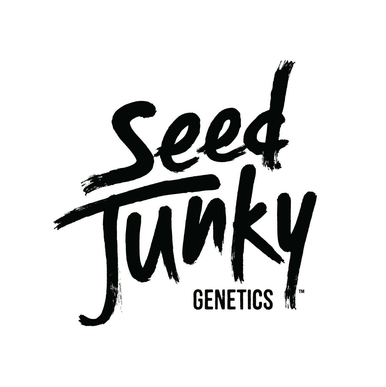 Hollywood Pure Kush | Buds | 3.5g by Seed Junky