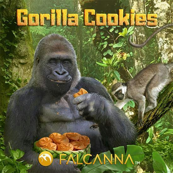 28g Gorilla Cookies - Falcanna Pre-Pack Flower