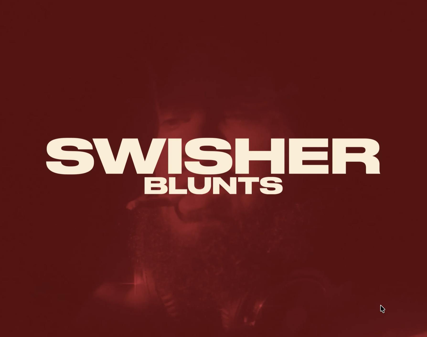Blue Raspberry | Infused Blunts | 1.5g ea | 2pk