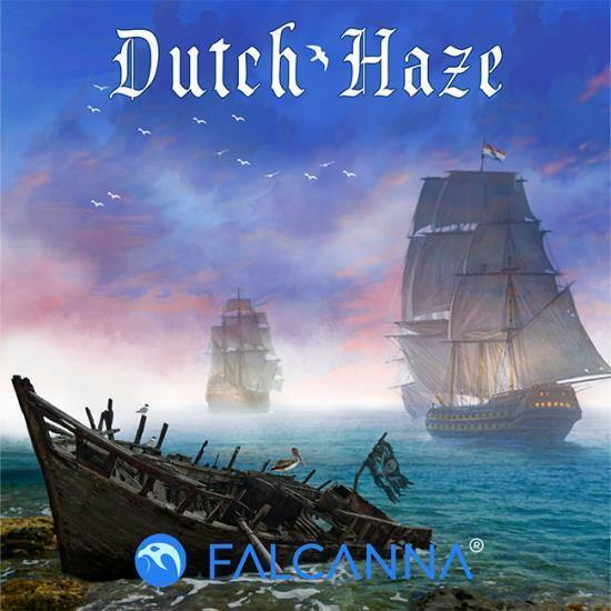 14g Dutch Haze - Falcanna Pre-Pack Flower