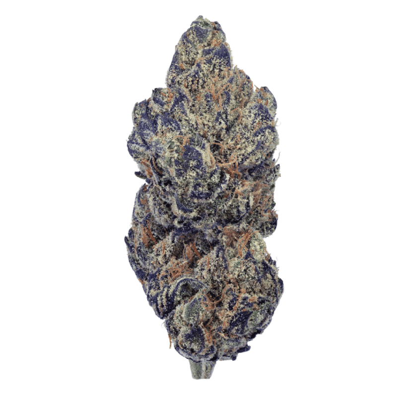 White Runtz | Buds | 28g by Platinum Reserve