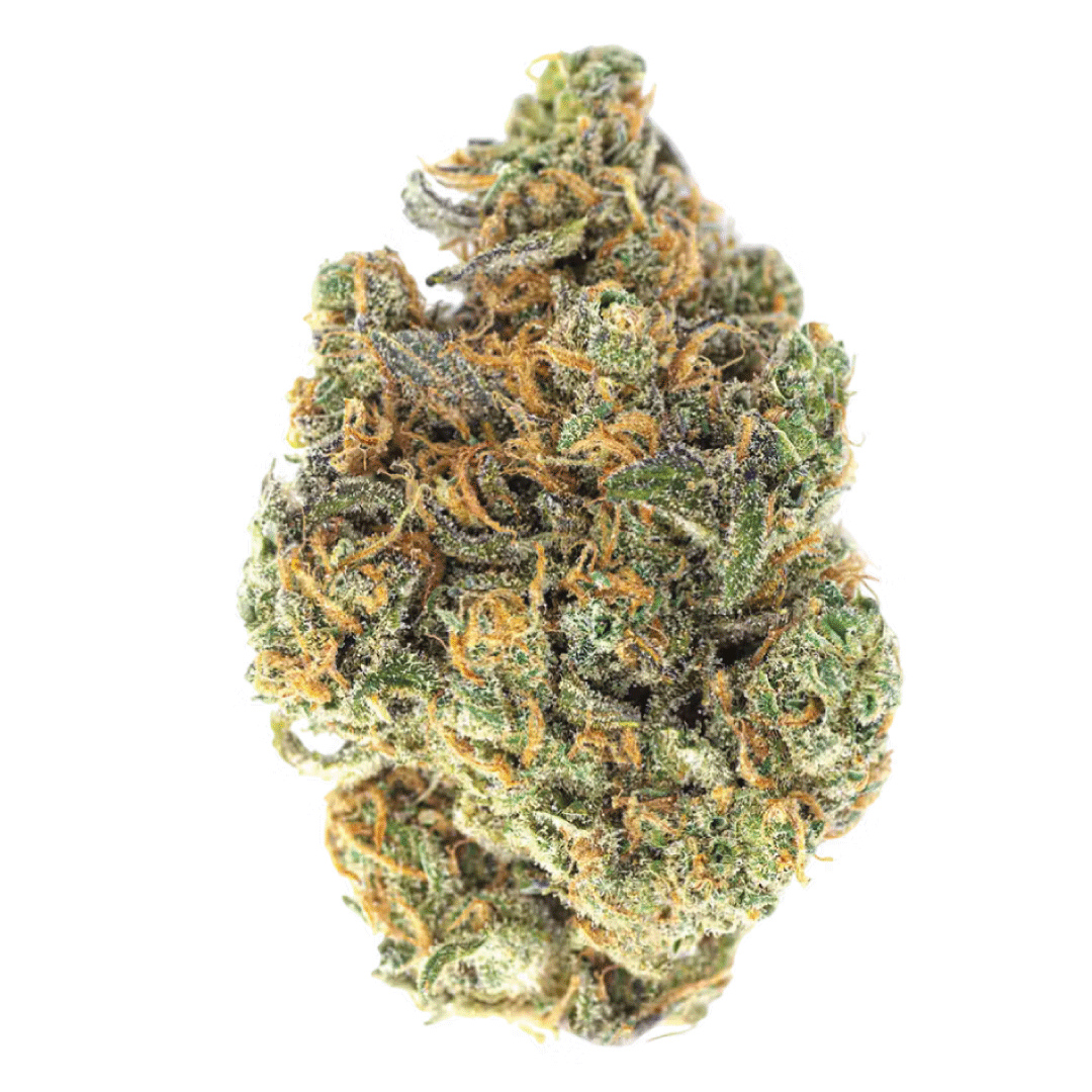 Sherblato | Buds | 7g by Platinum Reserve