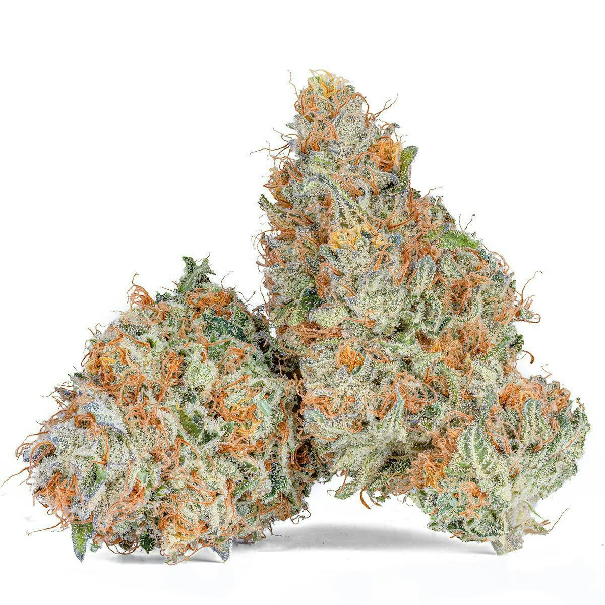 Citron Glue Premium Flower 14g