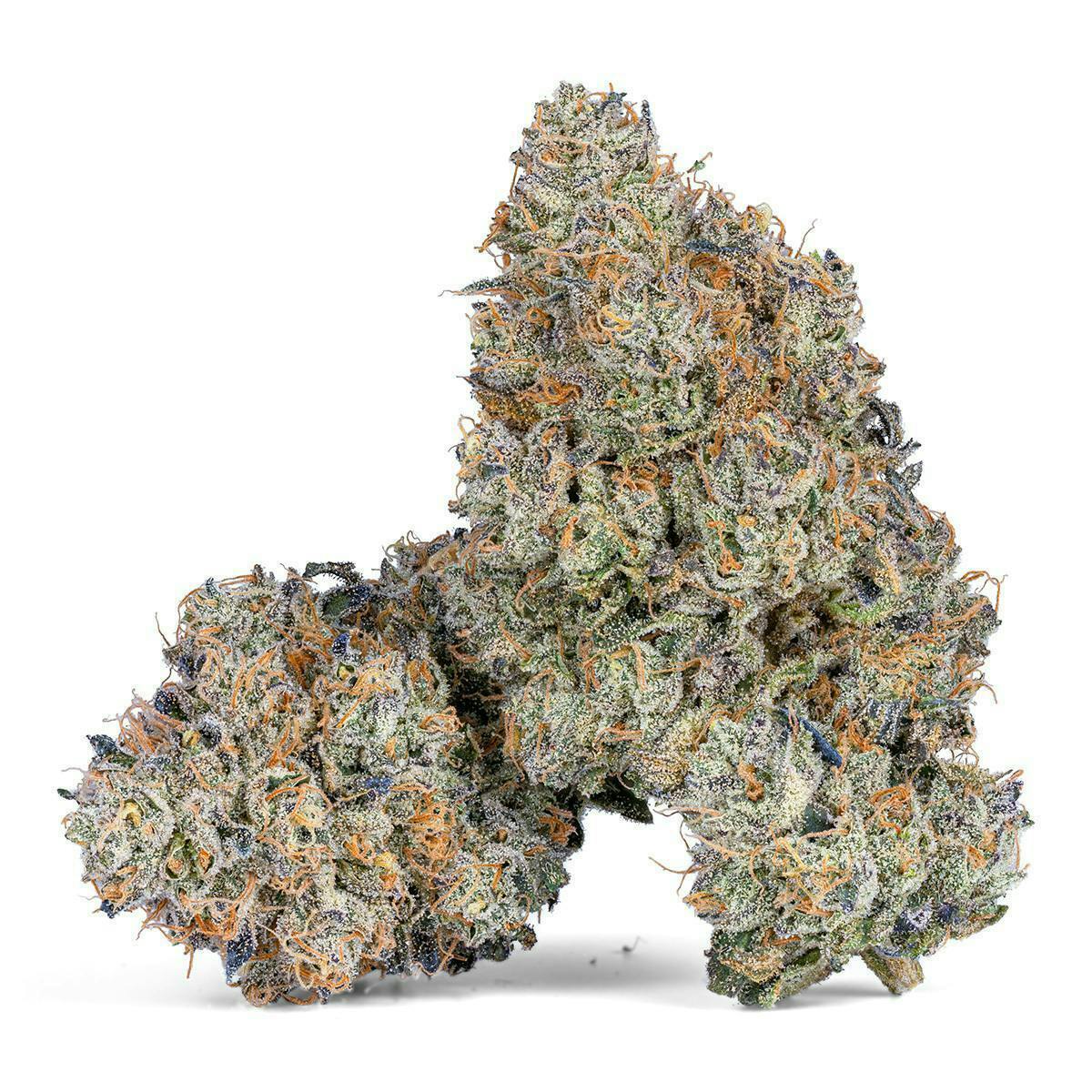 Black Diesel Runtz Premium Flower 14g
