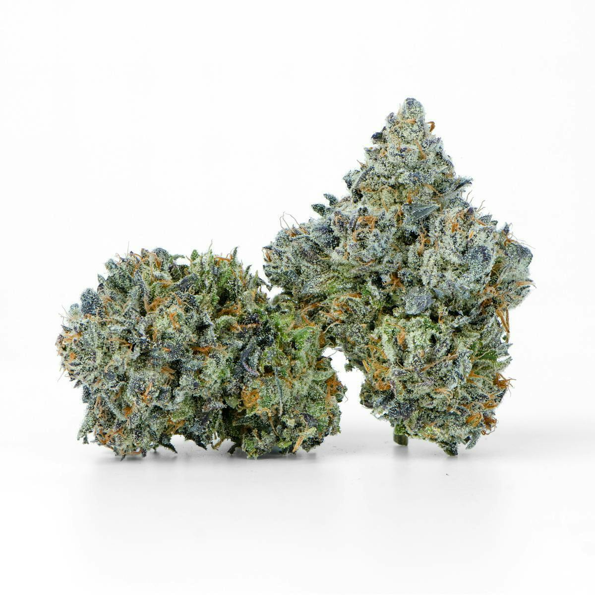 Pit Boss Premium Flower 14g
