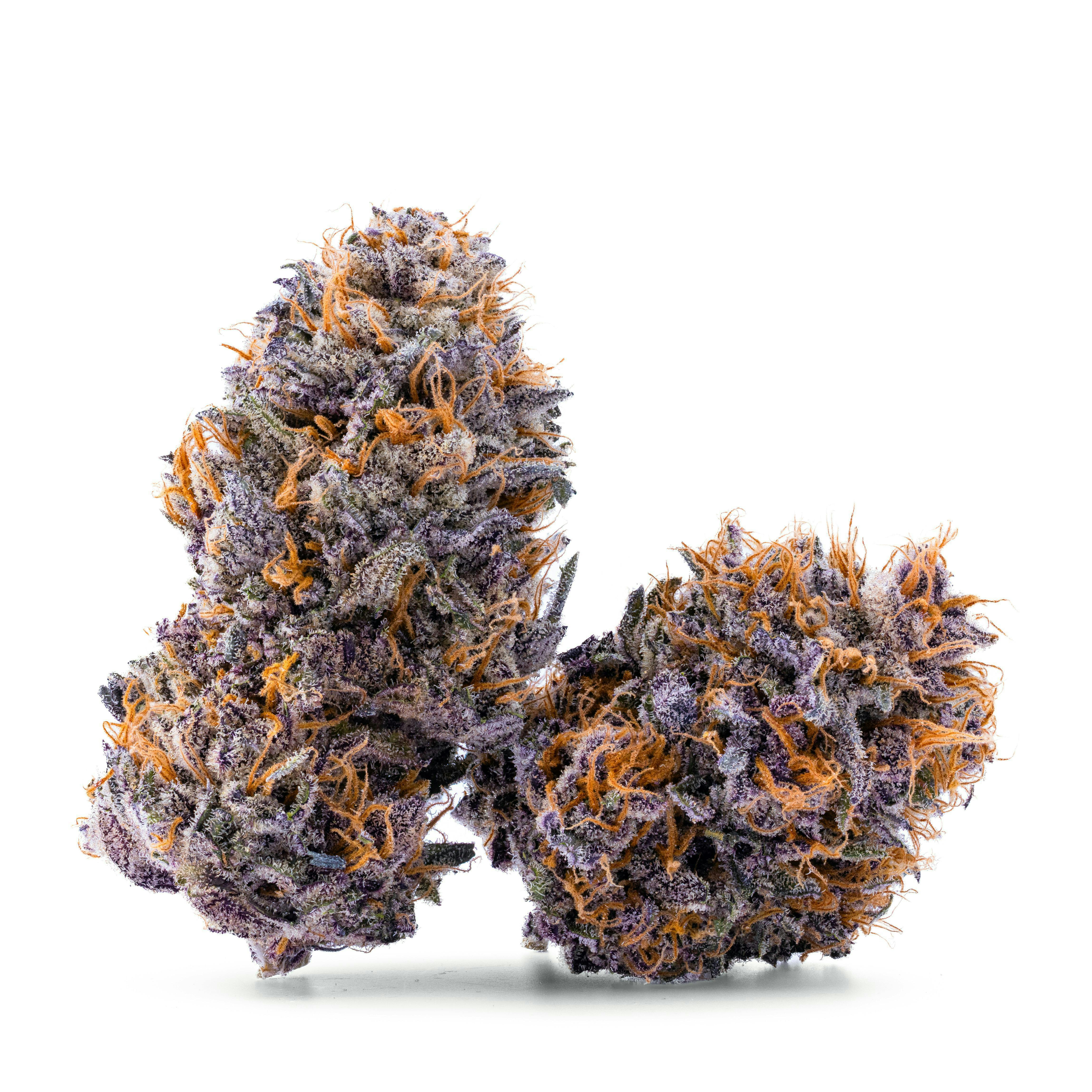 Appleberry Muffin Rough Cut Flower 28g