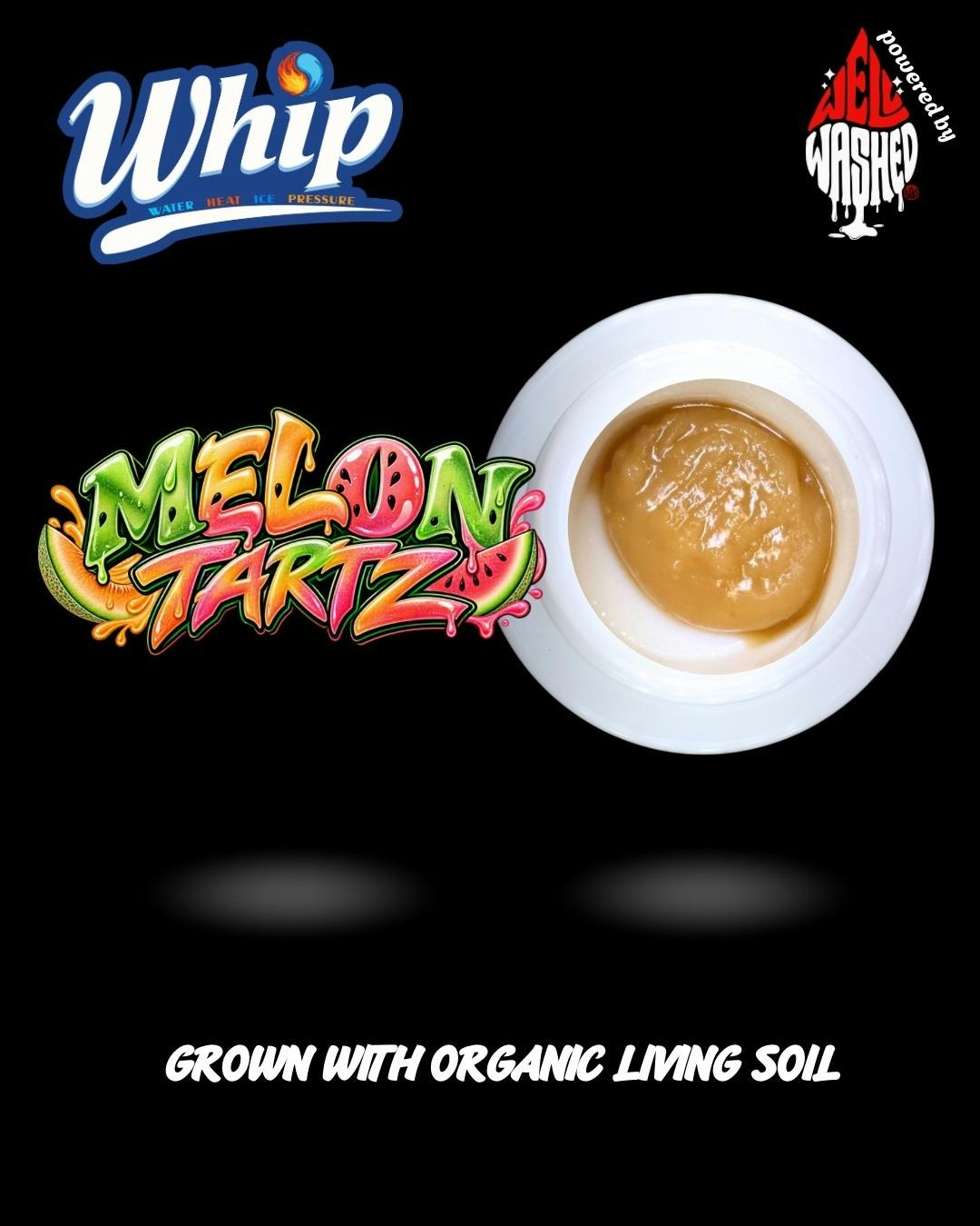 WHIP Melon Tarts