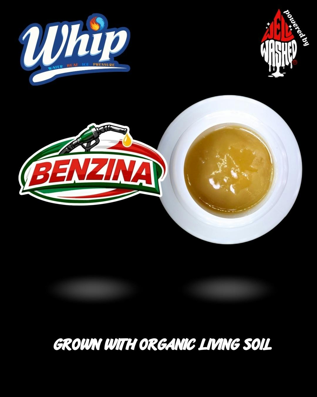 WHIP Benzina
